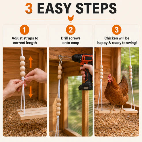 Chicken Play & Perch Swing