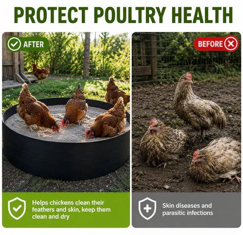 Premium Chicken Dust Bath Tub