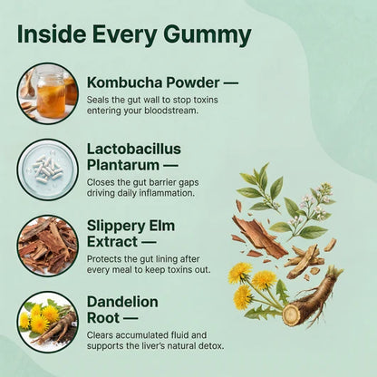 Lascion Kombucha Gummies
