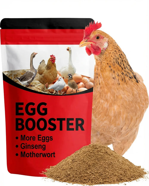 Lascion Egg Booster Suppment