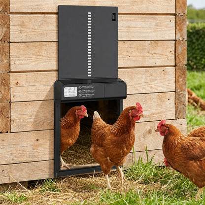 Lascion Coop Door